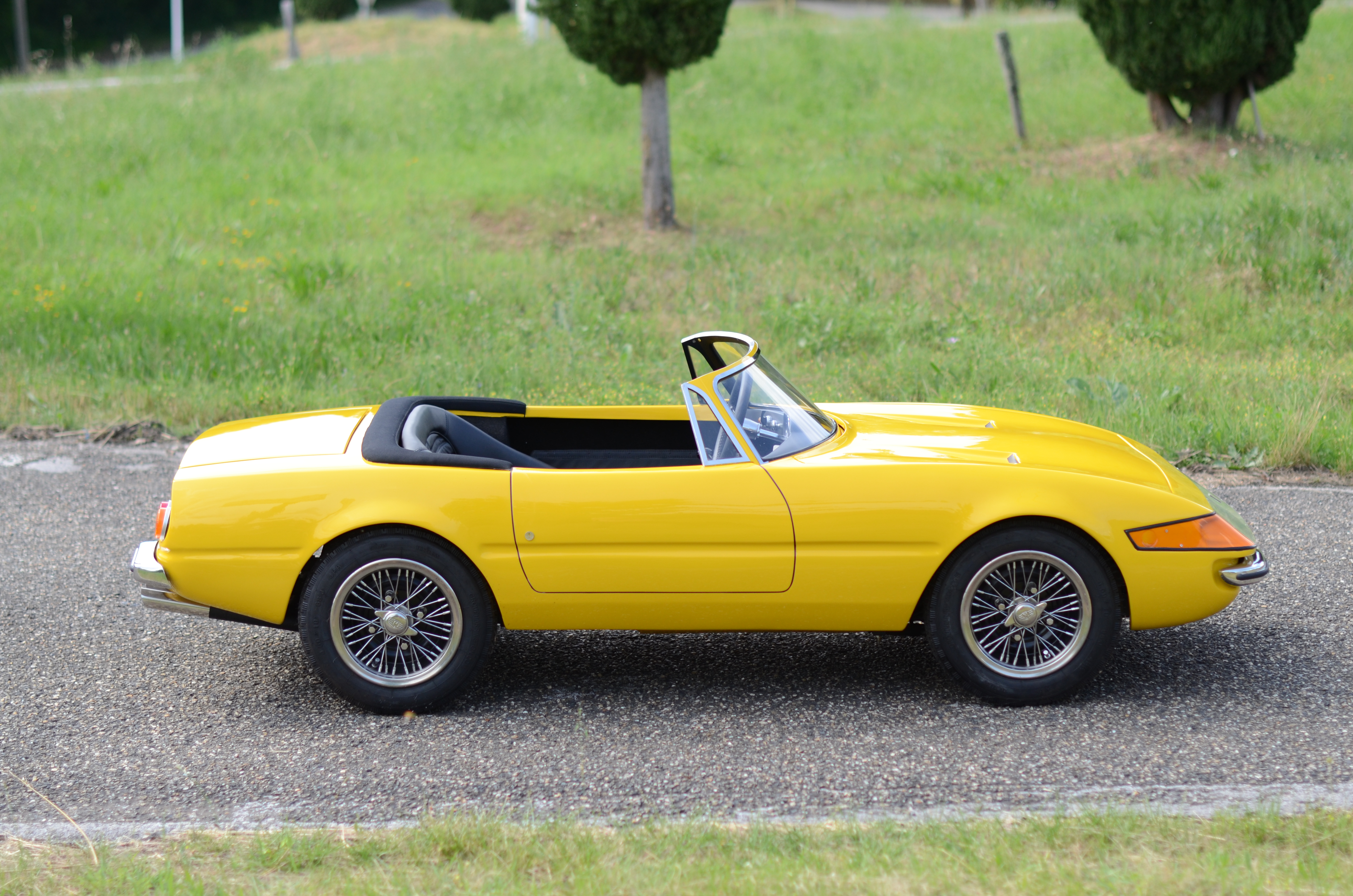 Daytona Harrington Group