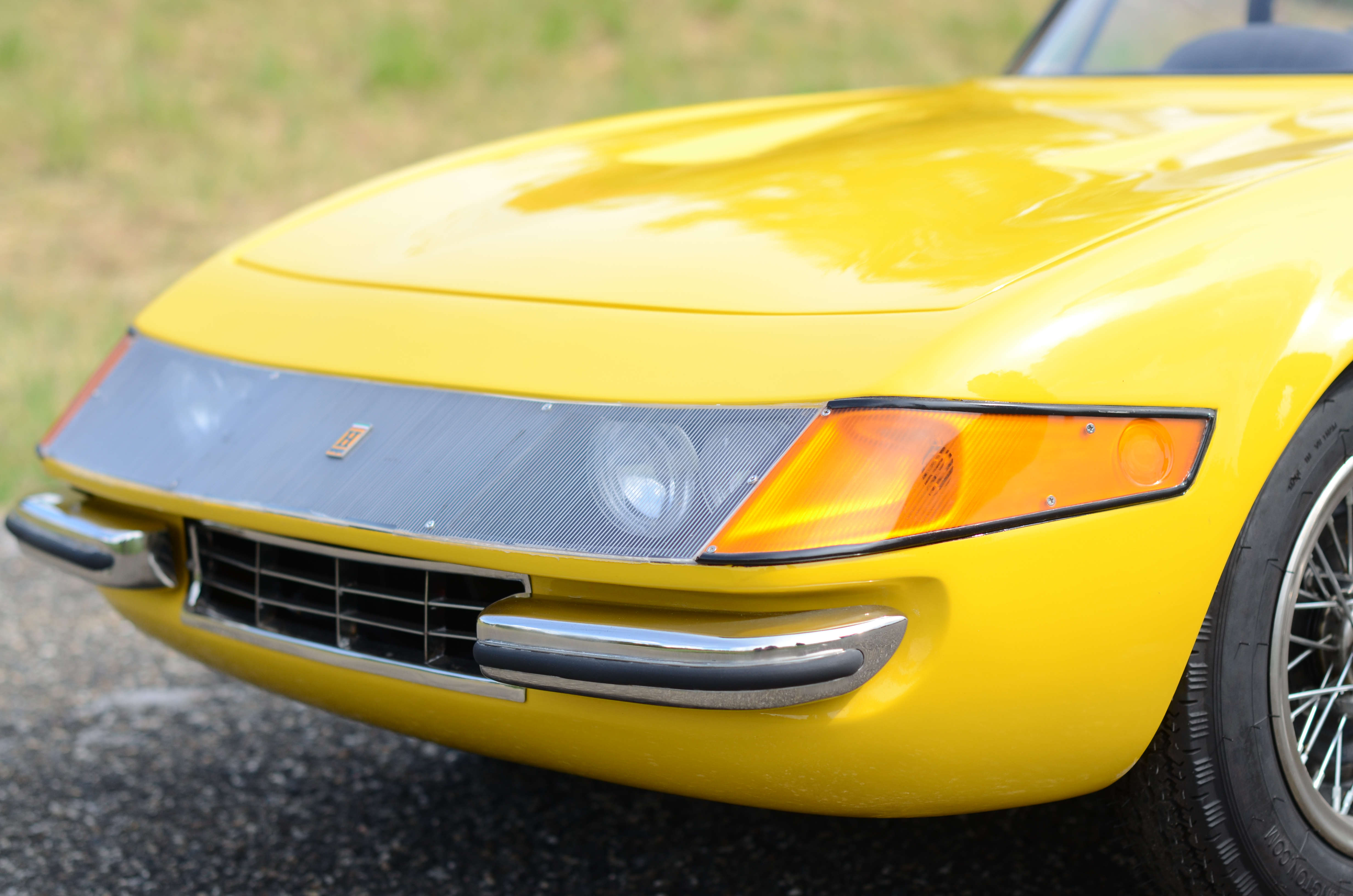 Daytona Harrington Group